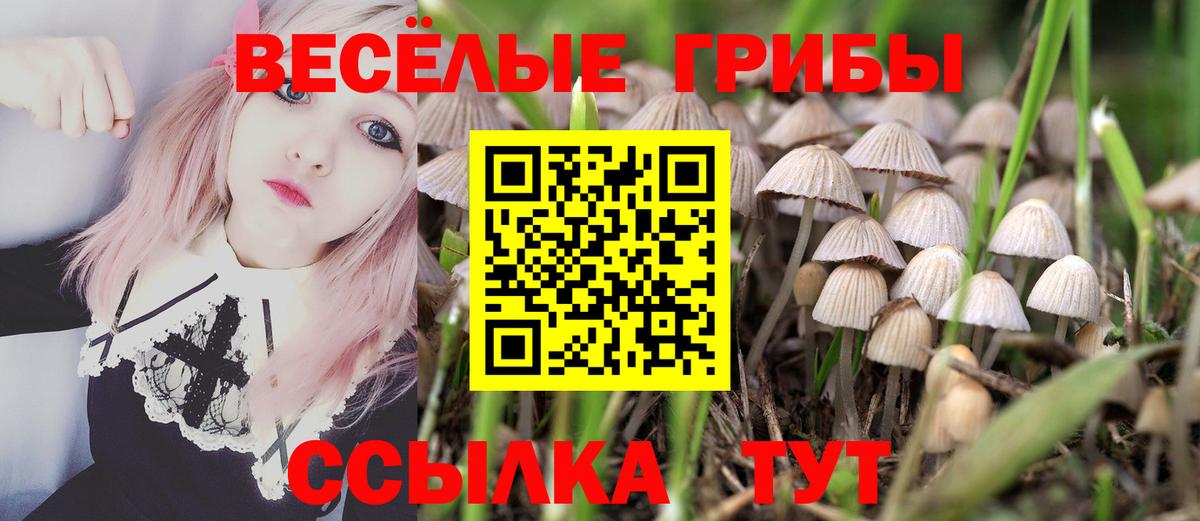 Псилоцибиновые грибы мухоморы  Псилоцибиновые грибы Psilocybine cubensis  Вход с VPN  Дивногорск 